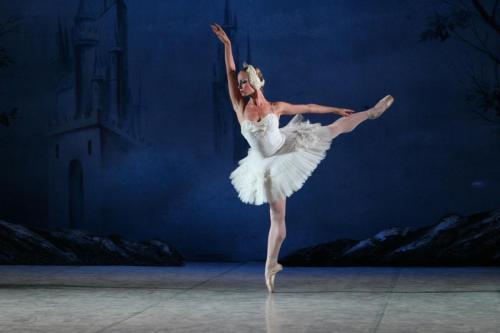 Swan Lake._009