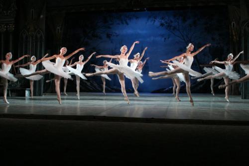 Swan Lake._013